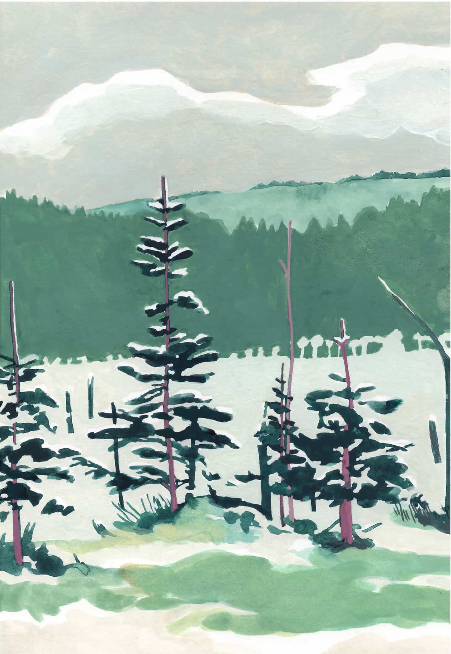 Frannie Wise: Winter Pines (Copyright © Frannie Wise, 2021)