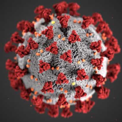 Diseños de los nominados Año 2020 incluyen un baile Tik Tok y coronavirus de los CDC Render