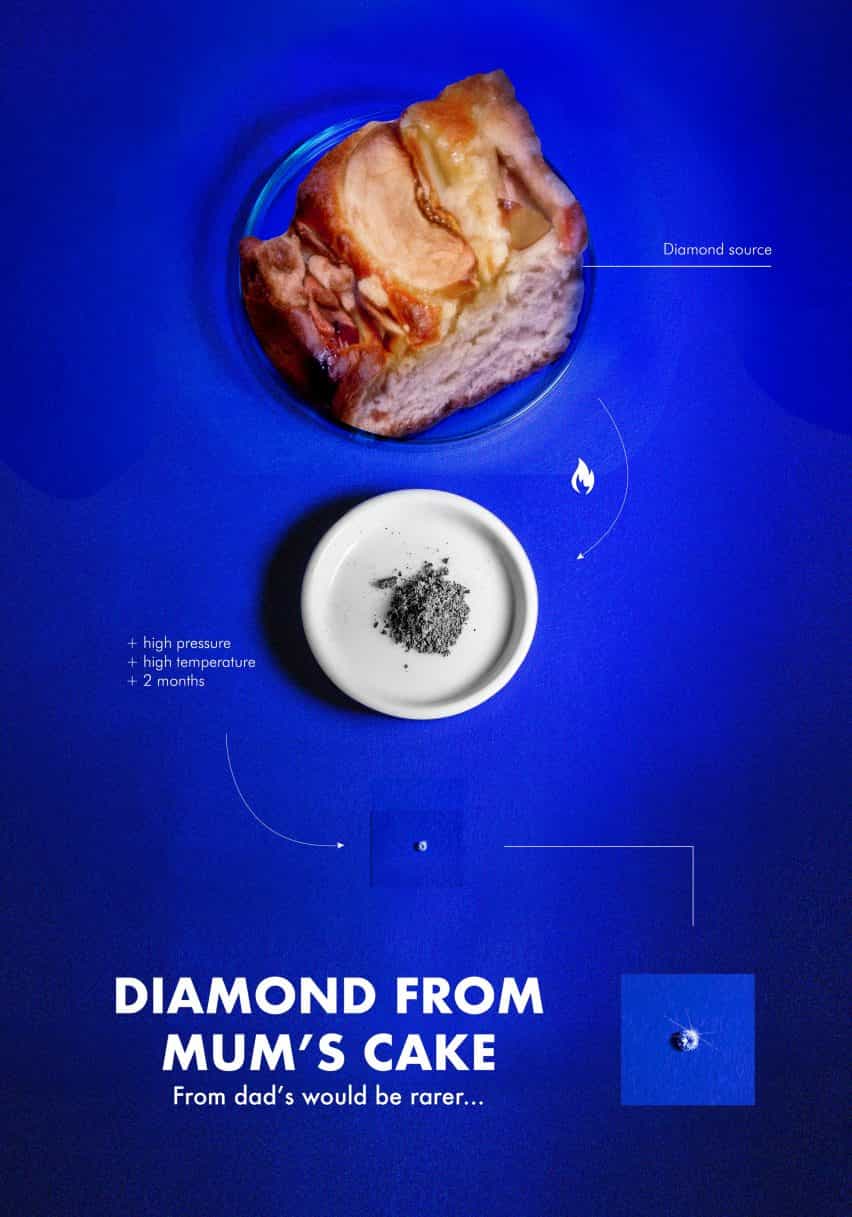 Lo que los diamantes son por Aniela Fidler
