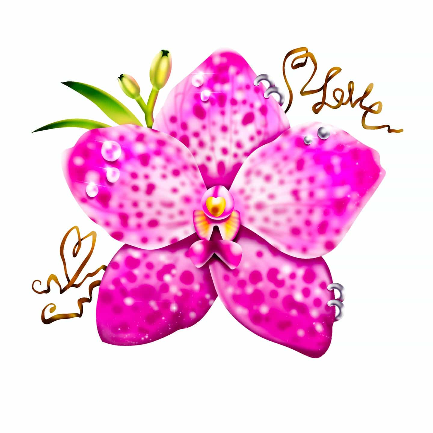 Bryson Lee: Summer Orchid (Copyright © Bryson Lee, 2024)