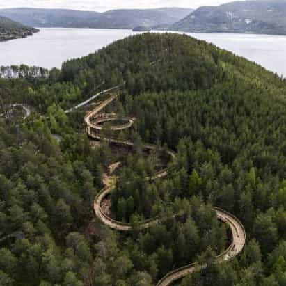 Esta semana revelamos una pasarela en la copa de un árbol en Noruega