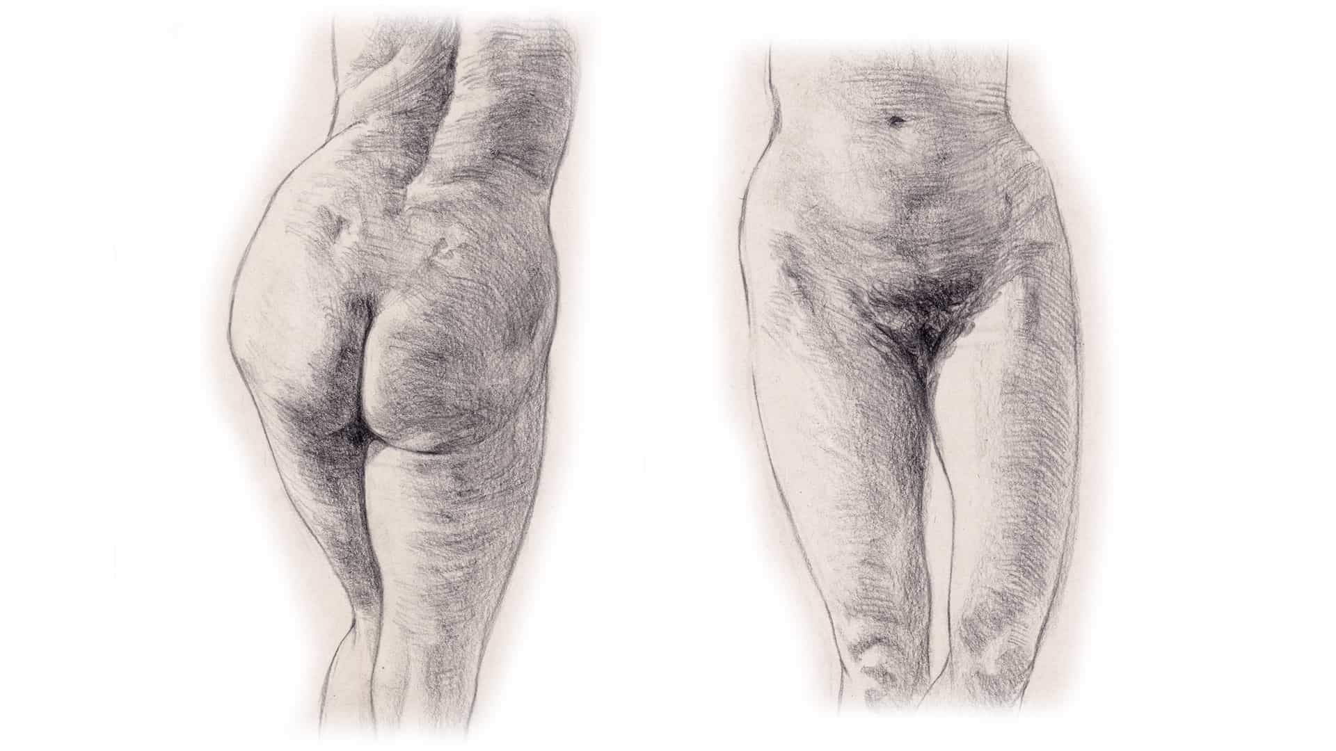 Cómo dibujar caderas, parte inferior y genitales