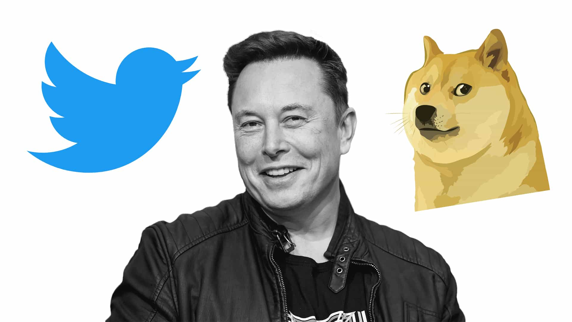 El 'nuevo' logotipo de Twitter continúa el compromiso de Elon Musk