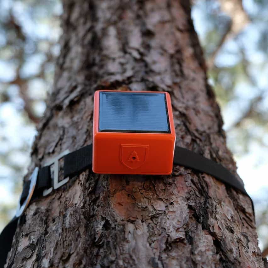 Foto de un dispositivo ForestGuard atado a un árbol