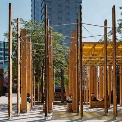 Studio Bark diseña una instalación de madera "bosque escultórico" para la plaza de la ciudad de Leeds