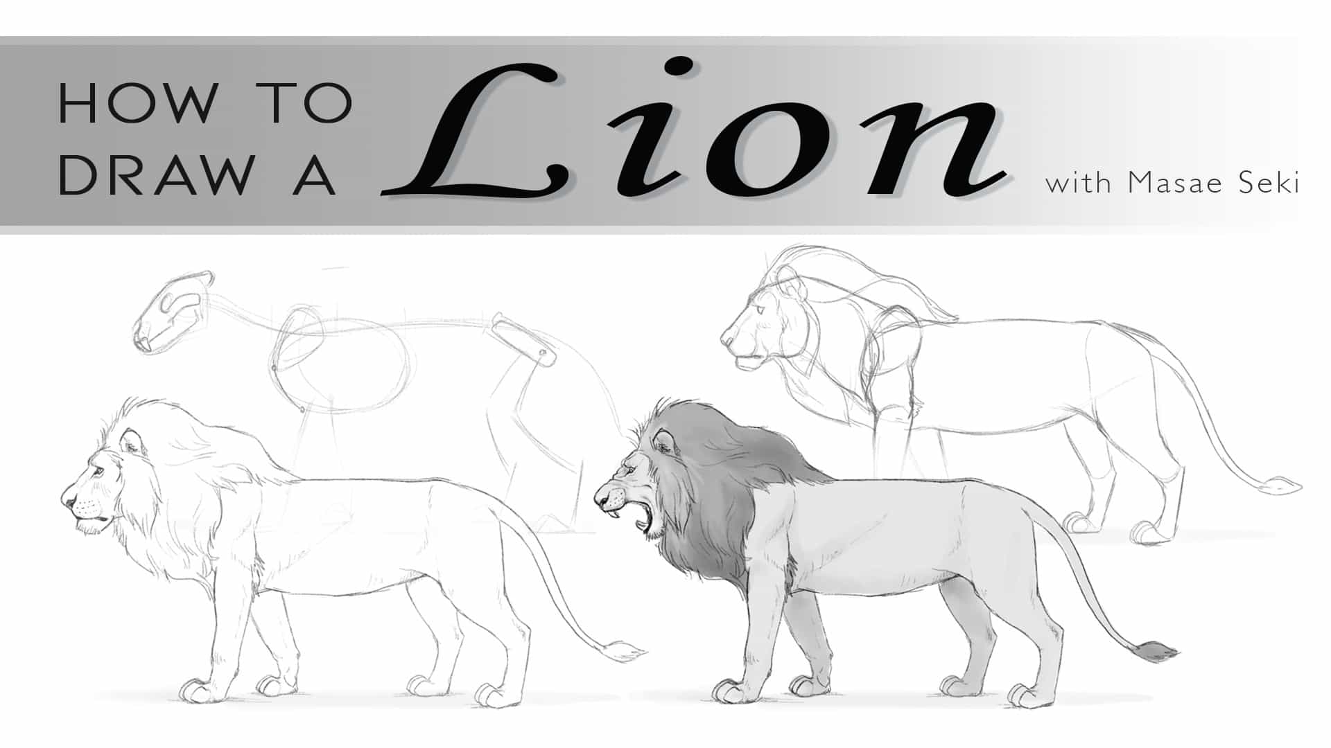 Cómo dibujar un león