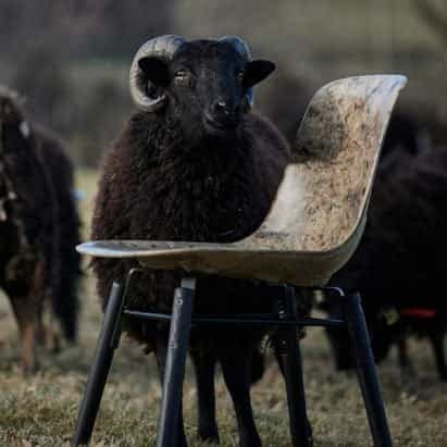 Dezeen Agenda cuenta con una silla similar a la fibra de vidrio hecha de lana de oveja