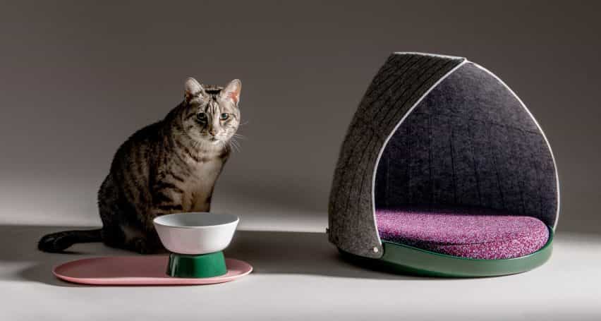 Capa y persona del gato Diseño de mobiliario medios de comunicación social de usar para los felinos