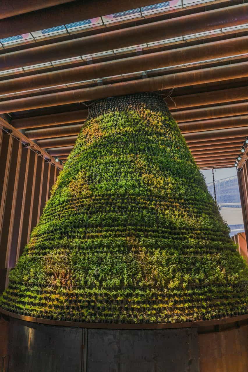 La luz de colores cae sobre un jardín vertical en forma de cono en el pabellón holandés
