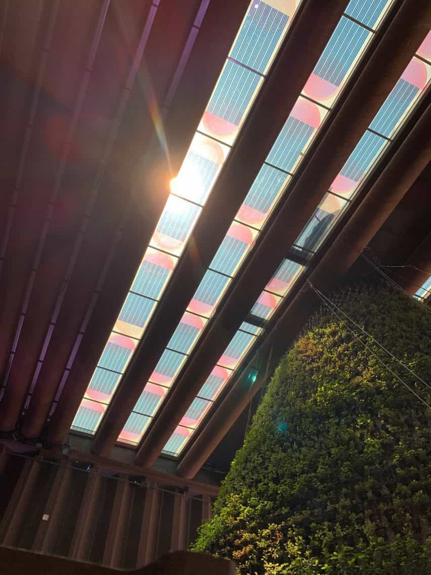 Paneles solares translúcidos de colores que forman una claraboya sobre un jardín vertical