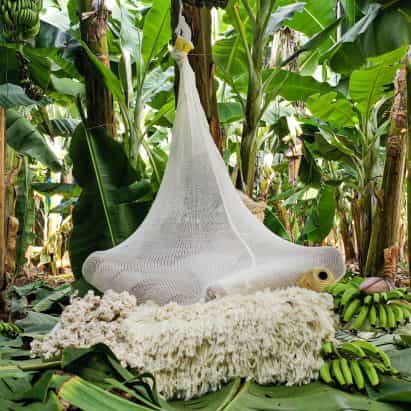 Erez Nevi Pana diseña "capullos" de plantas de banano para que los humanos se refugien del cambio climático