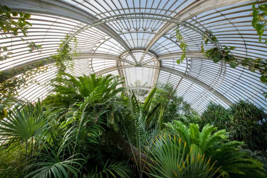 Una fotografía del conservatorio de Kew Garden
